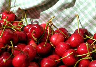 Cherry Fest in Port Polson